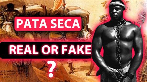 Pata seca slave breeder  Exposing Africa’s Role in the Slave Trade